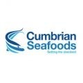 Cumbrian Seafoods is fishing for a buyer or investors