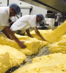 Lye Cross Farm makes a variety of Cheddar and territorial cheeses