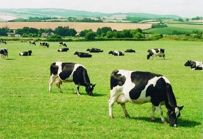 Campaigners are fighting dairy industry plans for expanding output 