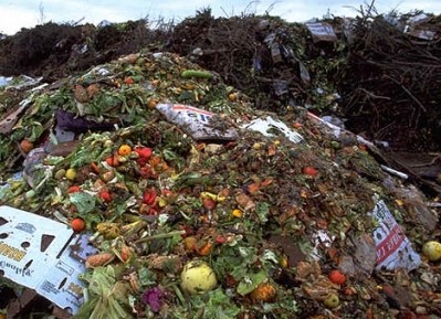 The European parliament is hoping to cut food waste by 50% before 2025