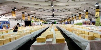 Cheeses lined up for sampling at the 2013 International Cheese Awards