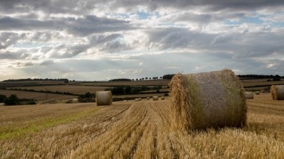 Soil degradation costs the farming sector £250M a year 