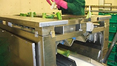 Automation of leek packing reduces manual handling