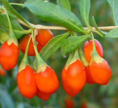 The benefits of goji berries are easily rivalled by more commonplace foods, said the BDA