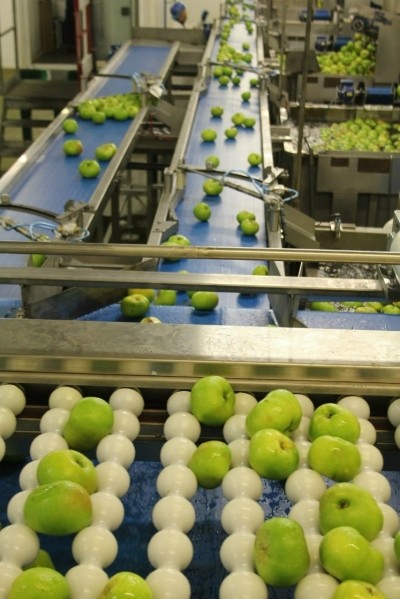 Fruit processor invests £1.3M to meet 70% rise in demand 