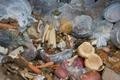 War on food waste led by grocery think-tank IGD