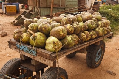Coconuts: brands picked, pressed and packed at source claimed to be better