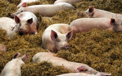 From July 10, all Sainsbury's fresh pork will be sourced from British farms, pledged the retailer