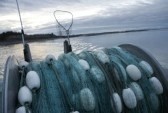 The EU grant is expected to generate new firms, jobs, and a fresh identity for seafood from the region 
