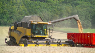 GM cereals and oilseeds could harvest a range of benefits, the report claims
