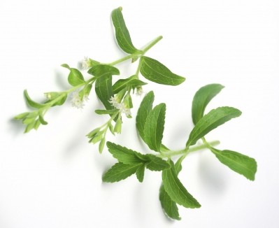 Stevia use predicted to soar