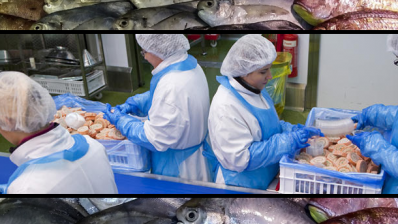 Prejudice against women remains a problem in the UK seafood industry, warned industry body Seafish