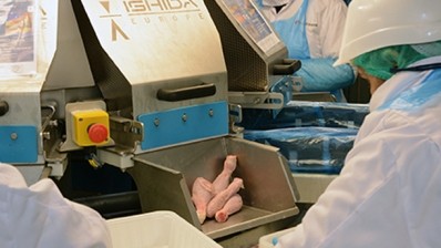 Faccenda using Rotobatcher for manual styling of fresh chicken cutups in trays