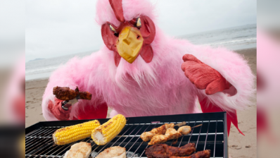 Food Standards Scotland’s latest campylobacter campaign features the return of the Pink Chicken