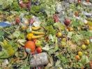 Tesco blamed food waste on fussy British shoppers