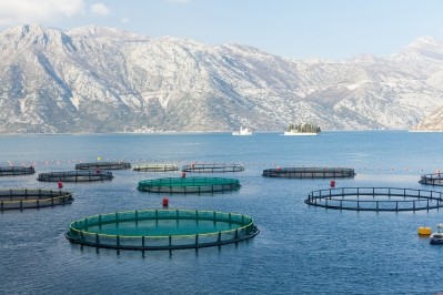 Aquaculture in Scotland aims to increase turnover by about £8M, and create up to 50 jobs