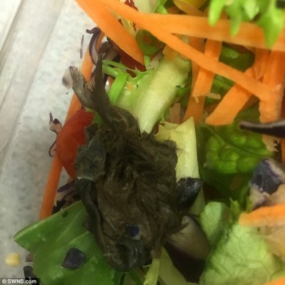 Finding a dead weasel in an Asda salad has put Rifit Asghar off prepared food