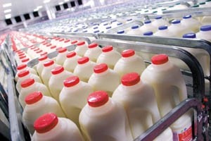 Dairy Crest to invest £25m into dairies in 2010/11