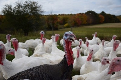 Bird flu was found in 5,000 turkeys at a farm in Lincolnshire (Flickr/U.S. Department of Agriculture)