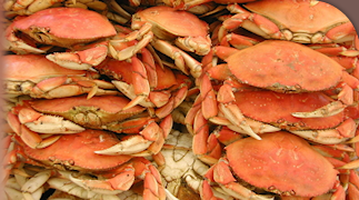 Waitrose has defended its decision to stock Cornish crab in Norfolk