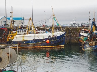 UK wants a Brexit transition deal that protects fishermen and fish processors
