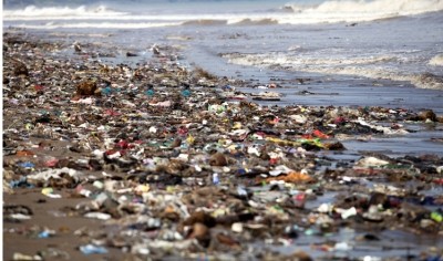 More plastic than fish is predicted to be in the world’s oceans by 2050 