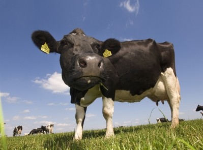 The UK has the second largest dairy trade deficit in the world, the report found