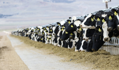 The UK has secured a £240m dairy trade deal with China