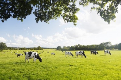 Meadow Foods handles more than 650m litres of milk annually from over 650 farmer suppliers 