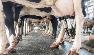 Improvements across the dairy sector strive to make the industry more streamlined and fit for purpose