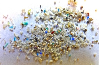 Microplastics pose a risk to human health, claim experts. Image by Oregon State University shared under a Creative Commons 2.0 licence