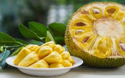 Jackfruit is commonly used in south and south-east Asian cuisines