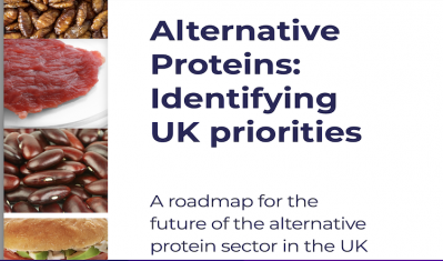 Alternative proteins are hailed as holding future promise for the UK food industry