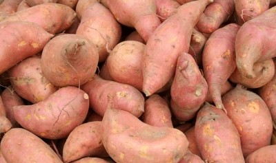 Sweet potatoes could become the next gluten-free flour of choice. Image: Getty - CribbVisuals