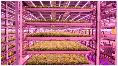 Bristol is home to a 148,000 sq ft industrial unit - the UK’s largest vertical farm, whilst Britain's capital has seen a commitment from Harvest London, which has committed to 139,977 sq advanced indoor farm. Credit: Getty / JohnnyGreig