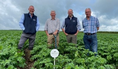 (L to R): Graham Bennett, seed director of Wolds Produce; and seed managers Stuart Fox, Andrew Johnston and Bill Quarrie