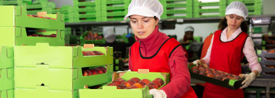 ERP food software: why generic systems are insufficient