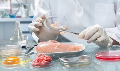 Digital technology has a low adoption rate in manufacturers' food safety