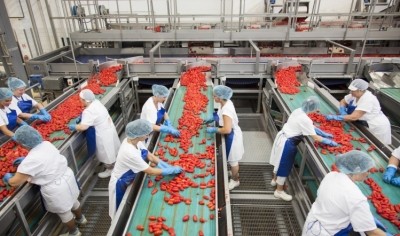 Princes' tomato supply chain has received ethical accreditation 