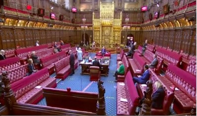 Peers in the House of Lords have voted for the amendments