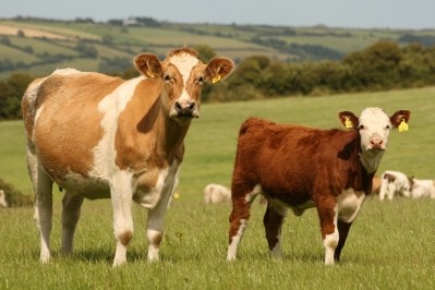 Elemental's process is designed to boost beef production efficiency