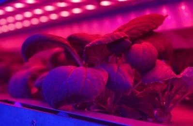 Fresh produce flavour and longevity can be altered by changing the intensity and spectrum of the light it receives