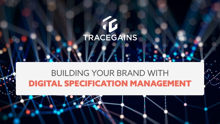 Your Guide to Digital Specification Management
