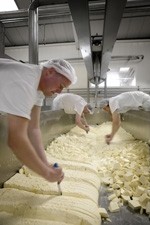 Real Yorkshire Wensleydale aims for PDO status
