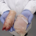 Protein sequencing identifies adulterated chicken