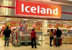 Iceland's advert about horsemeat wrongly discredited FSAI's testing standards, ruled the advertising watchdog