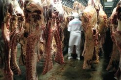 Switch to risk-based meat inspections “will take years”