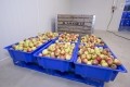 Committed to UK-sourced fruit and vegetables