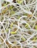 Sprouted seeds