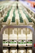 Dairy Crest puts 260 jobs at risk